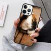 Hamster Guinea Pig Mobile Phone Cases Cover For iPhone 17 Air 16e 15 14 12 13 11 Pro MAX apple Plus Coque