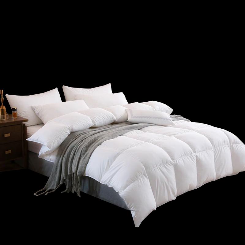 Baiweisi All-Season Velvet Feel Duvet Insert