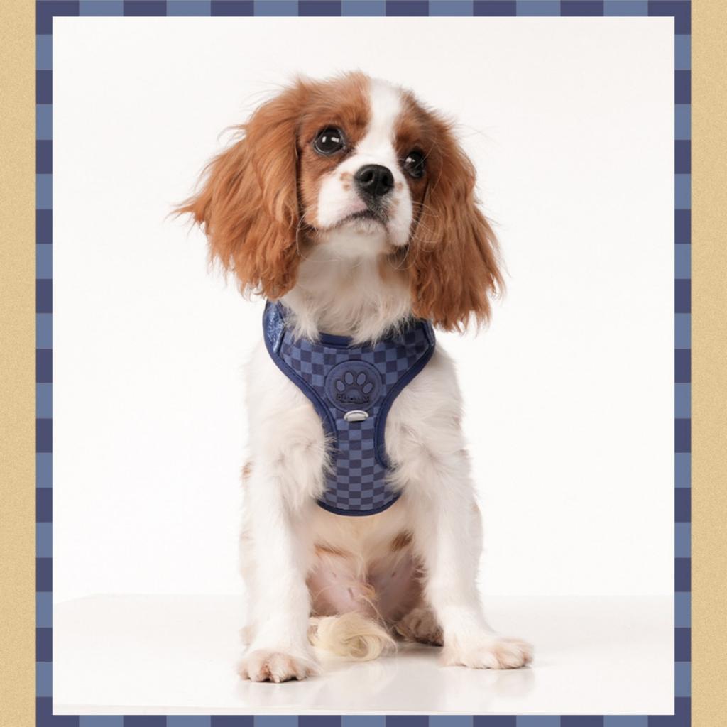 Plaid Dog Harness and Leash Set, Fashion Vest Harness for Small Dogs , Adjustable Puppy Walking Chest Strap with Lead