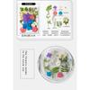 Natural Dried Flowers Pack For Diy Resin Pressed Flower Art