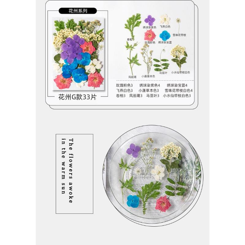Natural Dried Flowers Pack For Diy Resin Pressed Flower Art
