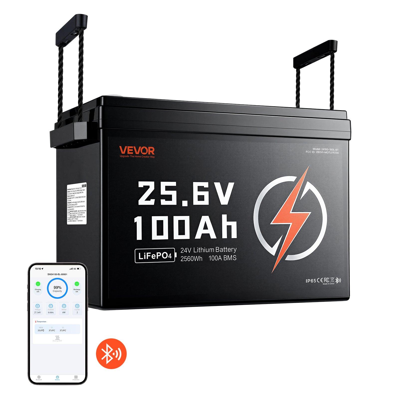 VEVOR 24V 100Ah LiFePO4 Lithium Battery