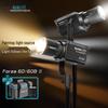 NANLITE Forza 60B II Bi-Color LED Photography Light