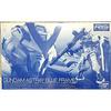 BANDAI RG 1/144 Gundam Astray Blue Frame (Gundam Plastic Model Expo Hobby Online Shop Exclusive)
