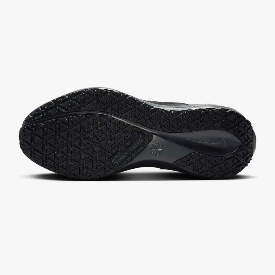 FQ1357-001 Nike Pegasus 41 GORE-TEX Black Anthracite (Women's)