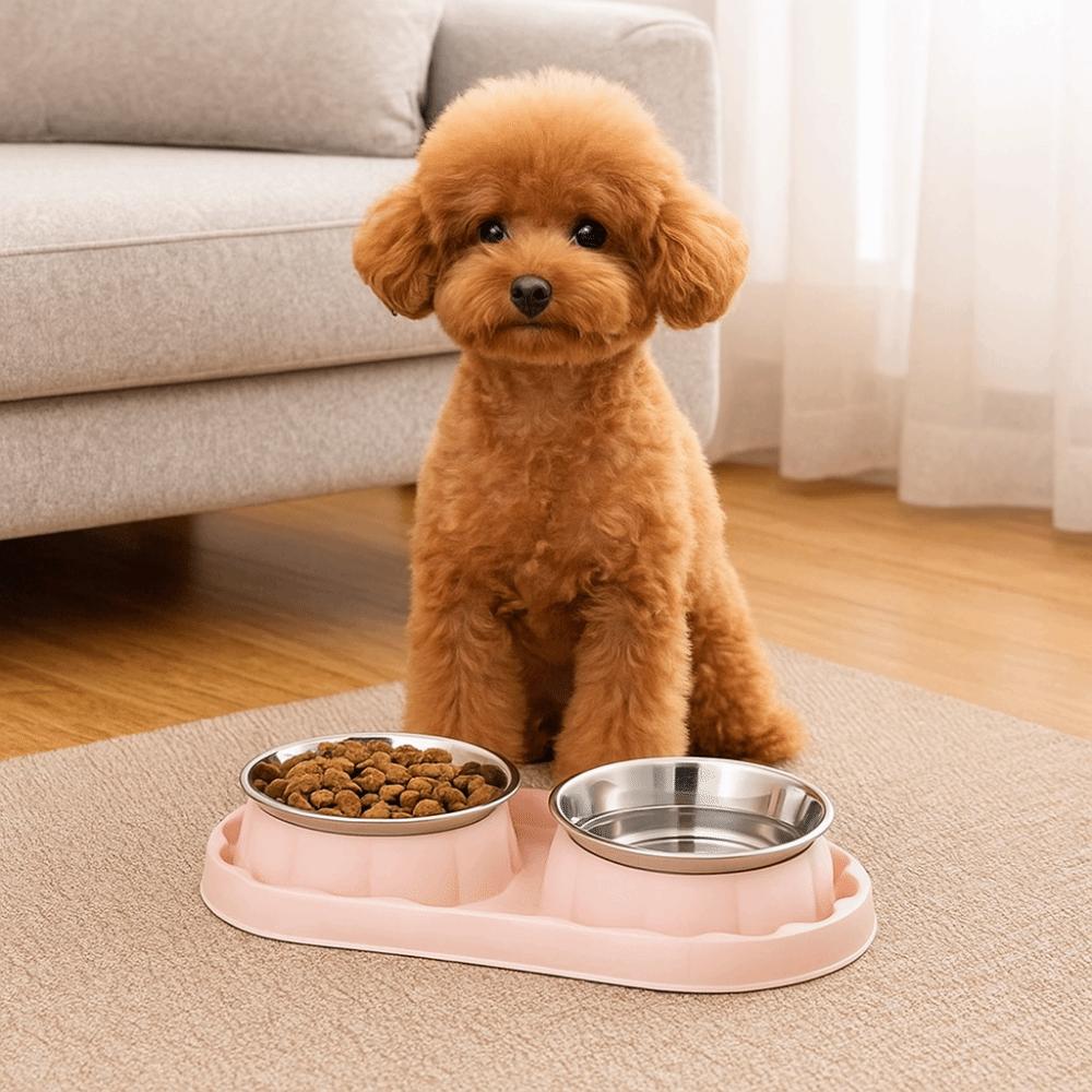 Leakproof Double Pet Bowl Stainless Steel Pet Dog Feeder Simple Pet Food Bowl  Home