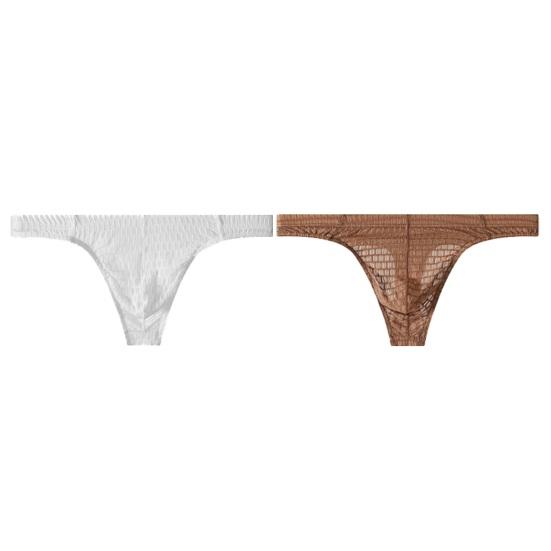 2Pcs Men Briefs Thin Perspective Mesh Yarn Sexy Low-Waisted Seamless Panties Breathable Embossed Fabric Underwear Daily Wear