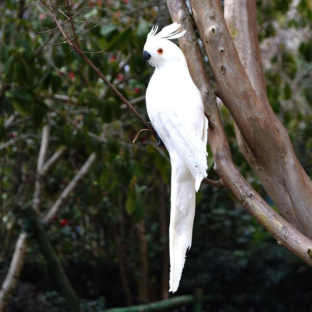 Neidische Porzellan-Papageienfigur mit Federn: Kleines Vogelmodell zur Dekoration für Haus und Garten