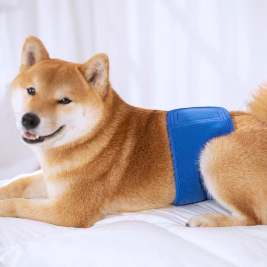 Pet Belly Band Adjustable Leak-proof Fabric Diaper Dog Shorts Pet Physiological Pants for Female Dogs