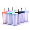 Double-Layer Plastic Straw Cup, Matte Cup, Outdoor Sports Water Cup