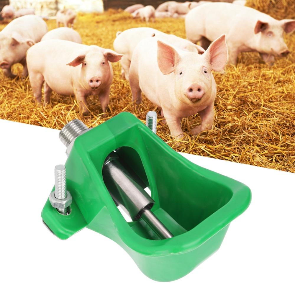 Stainless Steel Pig Drinking Bowl Green Piglet Water Bowl Leak Proof Drinking Water Bowl  Pigs