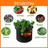 Versatile Fabric Root Pots Smart Plant Grow Pot Bags With Large Capacity For Thriving Plants