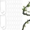 10 stk Plantekoblingsspenne Hagepinnklips Flerbruks Planteburkobling