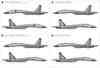 Great Wall Hobby 1/48 Scale Su-27 Flanker B China Air Force 30th Anniversary Plastic Model Kit S4818