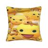 Pillow Case nailoong  Comfy  Pillow Cover For Living Room Sofa Kawaii Pillowcases