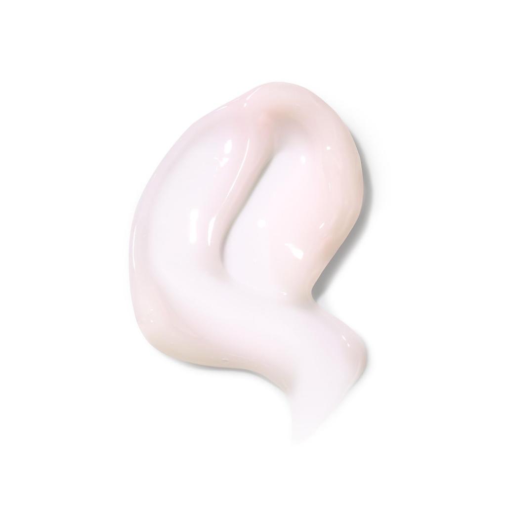 FEMMUE Rosenwasser Schlafmaske 100g GROSSE Größe auftragen und schlafen gehen Gesicht Feuchtigkeitscreme Hautpflege Offizielles japanisches Produkt Monate [Nur Maske]