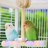 Wear-resistant Bird Stand Toy Sturdy Parrot Swing Pole Bird Cage Decoration  for Parrots Parakeets