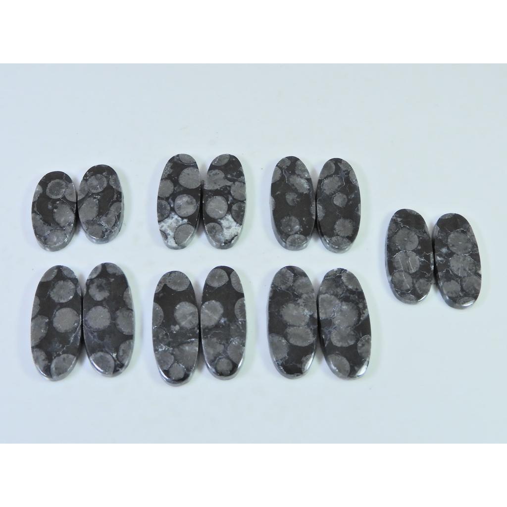 Natural Black Fossil Coral Matched Pair Oval Cabachon Gemstone 07 Pair Lot C-2671