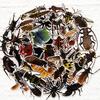 50 Transparent Realistic Insect Decals Butterfly Spider Do-It-Yourself Suitcase Mobile Phone Case Refrigerator Decals