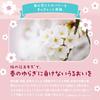 Masque Visage LULULUN Hydratant Protection UV Premium Lululun Sakura 7 pièces x 5 sachets (Parfum de Sakura)