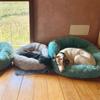 Super Soft Dog Bed Plush Cat Mat Dog Beds Round Cushion Pet Product Accessories Washable Dog and Cat Cushion Bed Winter Warm Sofa Hot Sell