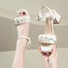 Fashion Shoes Ladies' Slippers Square Heel Slipers Women Soft Block 2025 Slides Scandals Spring Square Heel Female Shoes Womens Slippers