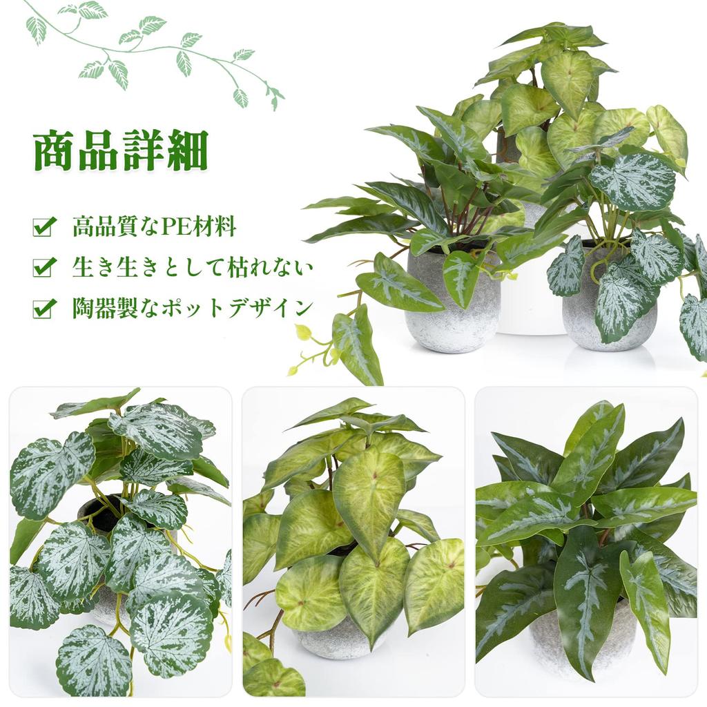 XiaZ Faux Greenery Tabletop Artificial Mini Potted Small Faux Stylish No Watering Care Perfect Gift for or Any Festival 3-Piece Set, Plants, Plants,