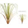 Lifelike Plastic Artificial Plant Flexible Natural Simulated Cattail 50cm Length Artificial Onion Grass Office Decor