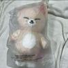 [USED] Stray Kids SKZOO Teddy Bear FoxI.Ny