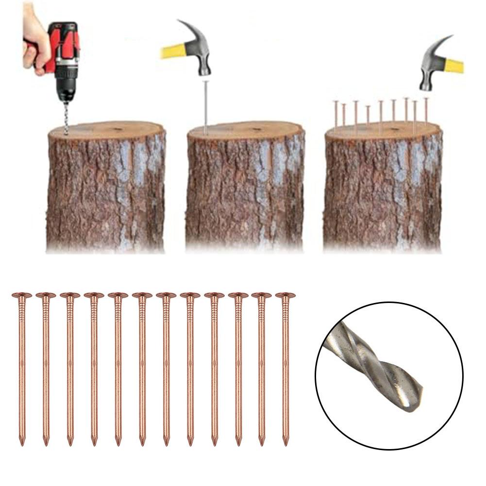 12 Stück Baumkiller-Nägel 4-Zoll-Kupfernägel zum Töten von Bäumen, Baumstumpfwurzel, Stumpfentfernungs-Spikes, Hardware, Gartenhandwerkzeuge