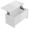 Coffee Table, High Gloss White, 102X55.5X52.5 Cm