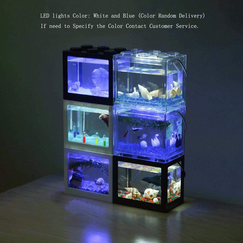 micro fish tank