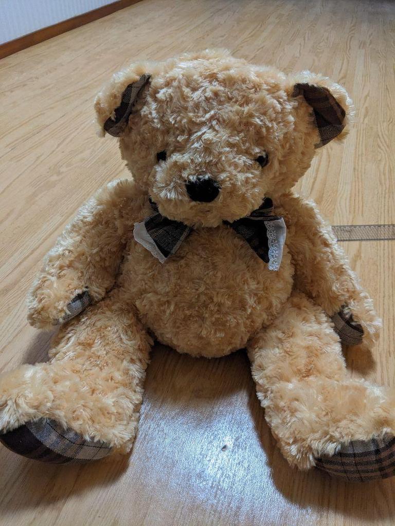 [USED] Teddy Bear