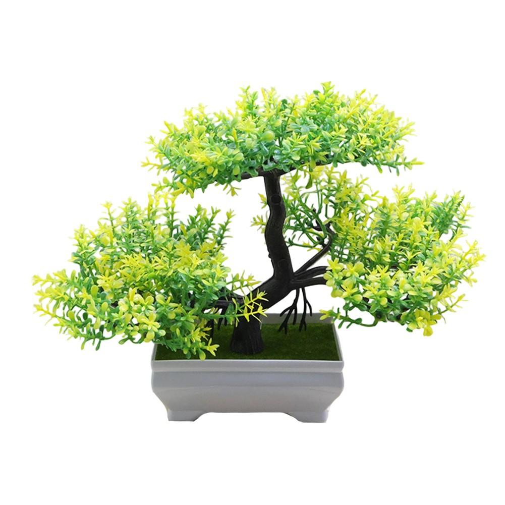 Low Maintenance Lifelike Bonsai No Watering Needed