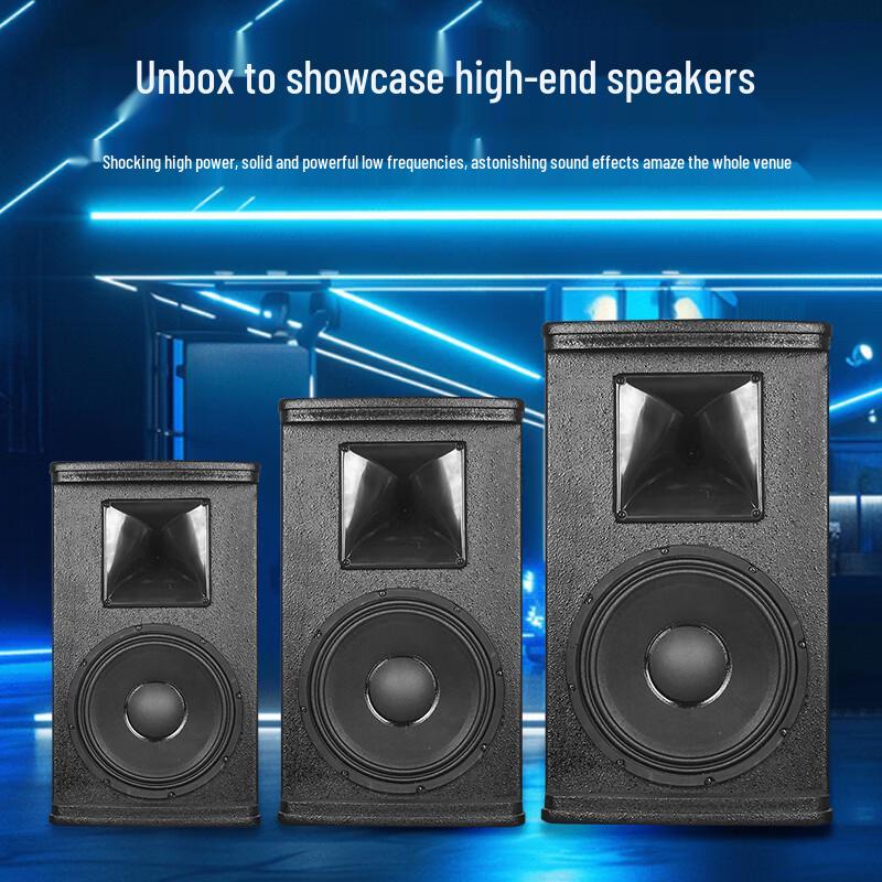 Weishu BM-1310 Professional 10-inch Passive Conference Speaker (CN Version)