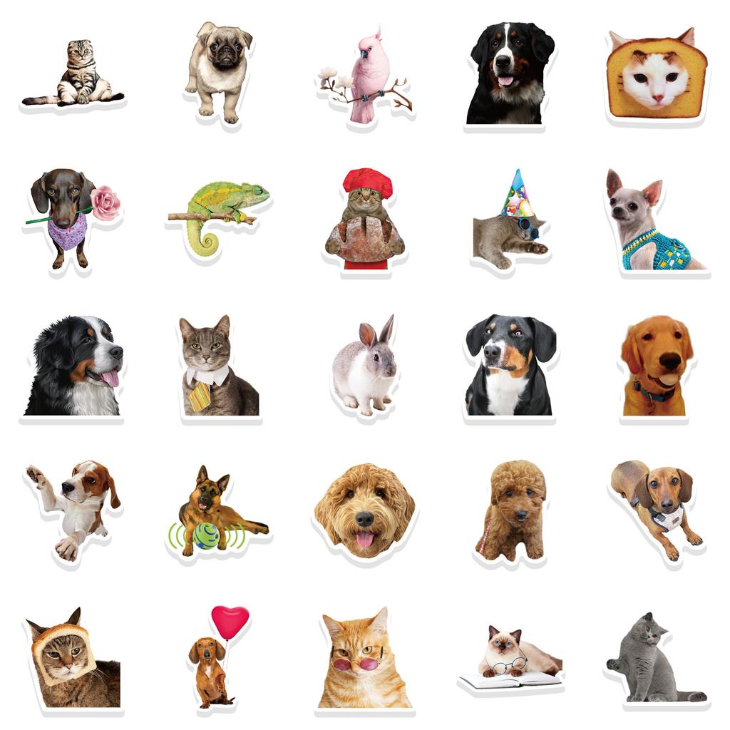 52 Cute Funny Animal Graffiti Stickers DIY Decorative Suitcase Notebook Waterproof Stickers