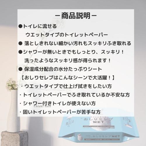 Bulk Purchase: Nepia Butt Celeb Wet Refills (60 Sheets Per Pack, 10-pack) + Bonus + 3you_syop Original Pocket Tissues