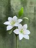Kit de Matériaux DIY Tricot Main Bouquet de Lys Fleurs Éternelles Crochet Simulation à la Main Fil de Coton pour Accessoires de Vêtement