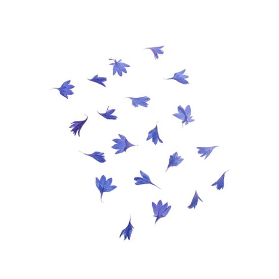 

20шт прессованный сушеный василек цветок ремесло смолы ногтей свеча декор DIY телефон синий