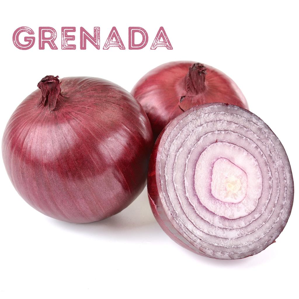 Uienzadenset / 9 populaire variëteiten / biologisch / niet-GMO