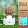 3D Mini Fruit Popsicle Mold - Mango, Peach, Lychee, Strawberry, Cantaloupe, Orange