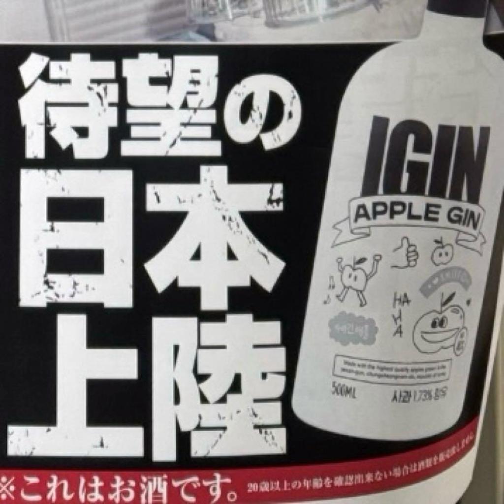 [USED] IGIN APPLE GIN 500ML 40% Made in Japan - Carry Bag