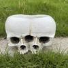 Gothic Style Gift Double Skull Flowerpot for Succulents Green Plants, Realistic Resin Planter, Small Pot Plant Halloween Party & Indoor Outdoor