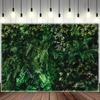 Green Tropical Palm Leaf Photography Background, Summer Flowers, Natural Jungle, Wildlife Park, Plant Party Photo Background