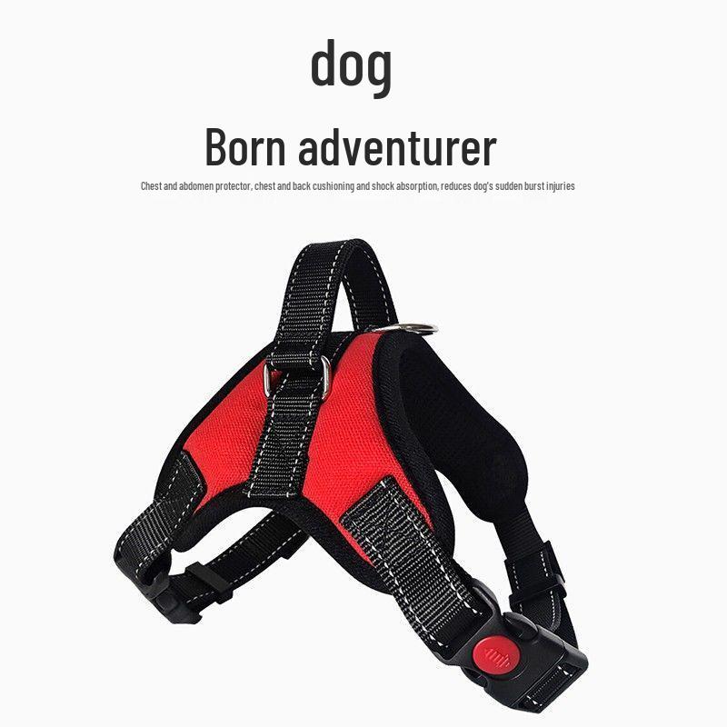 Labrador Dog Leash & Harness - Vest-Style for Medium & Large Dogs