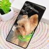 Yorkshire Terrier Hund TPU Handyhülle Für Samsung Galaxy note 10 pro S26 S25 S24 S23 S22 Ultra Plus S21 FE S20 Stoßfeste Hülle