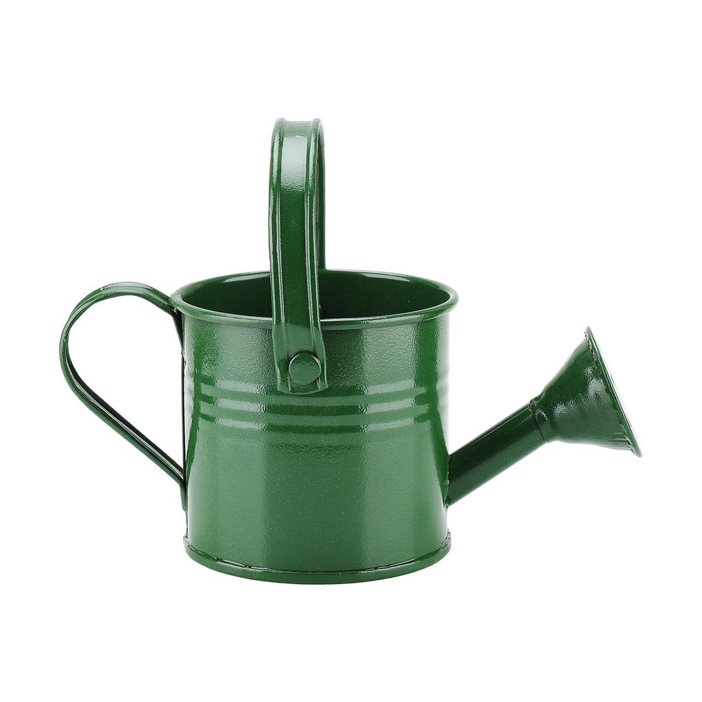 Mini Grüne Gießkanne 160ml Kleines Fassungsvermögen Gartenpflanzen Sprühkanne Topf