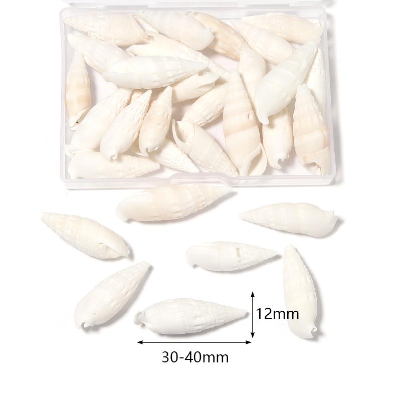 1 Box Sea Shell Spiral Shell Tiny Ocean Spiral Seashell Conch Crafts Aquarium Decoration Landscaping Accessory Photography Props