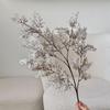 Wabi-Sabi Style Frosted Green Plants: High-End Artificial Flowers for Artful Arrangement & Photography Props