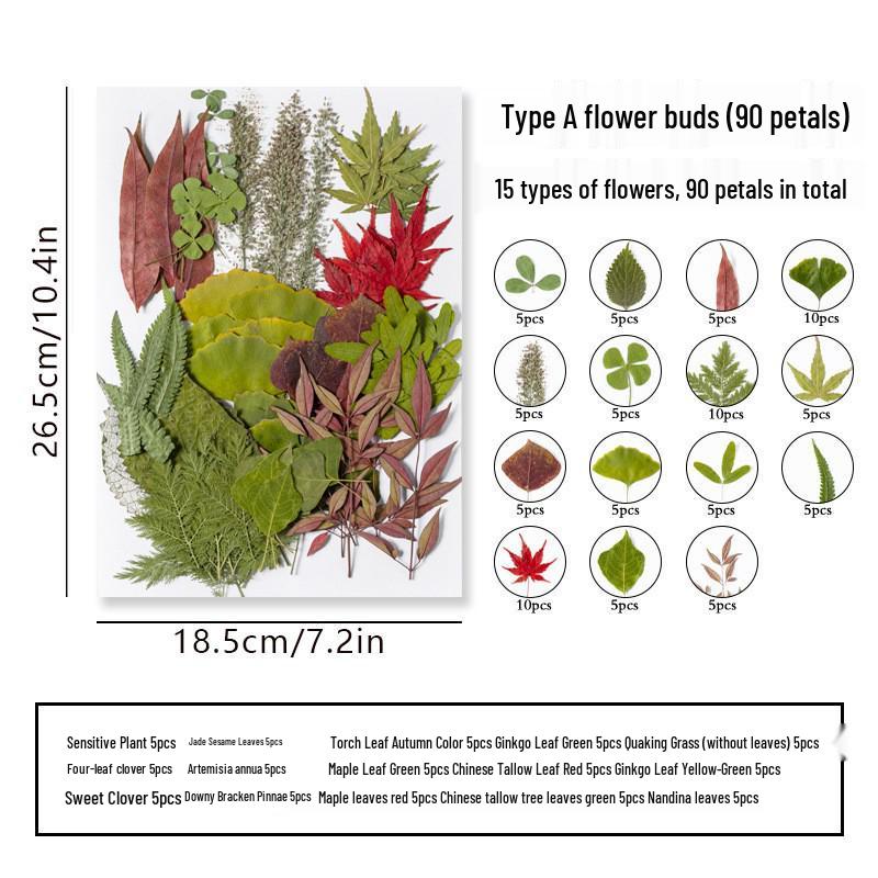 DIY Dried Flower Specimen Sticker Set for Kids: Handmade Pressed Flower Frames & Resin Bookmark Craft Kit